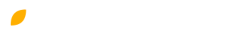 Optolens